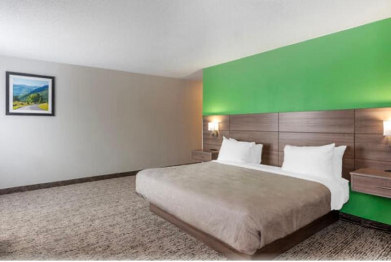 King Suite image 3