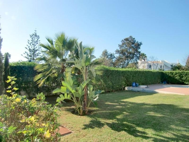 16 Centeanes - Fabulous Location Just Short Walk t - image 10