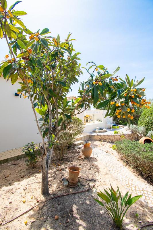 67 adm - 3 bed villa walking distance to Carvoeiro - image 21
