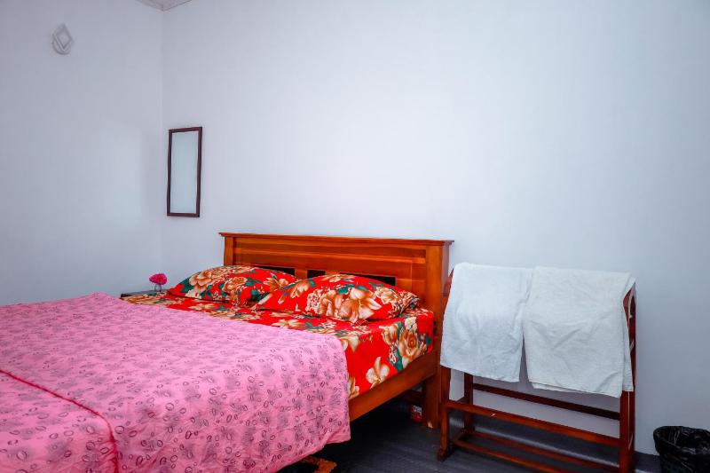Peace Nest - image 30