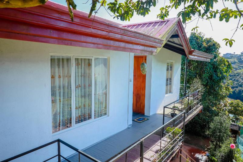 Peace Nest - image 21
