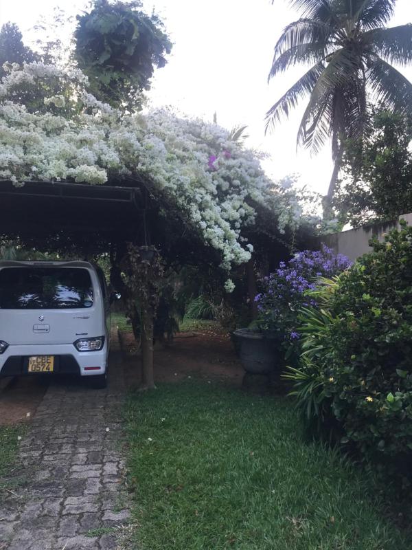 Tangalle Green House - image 9