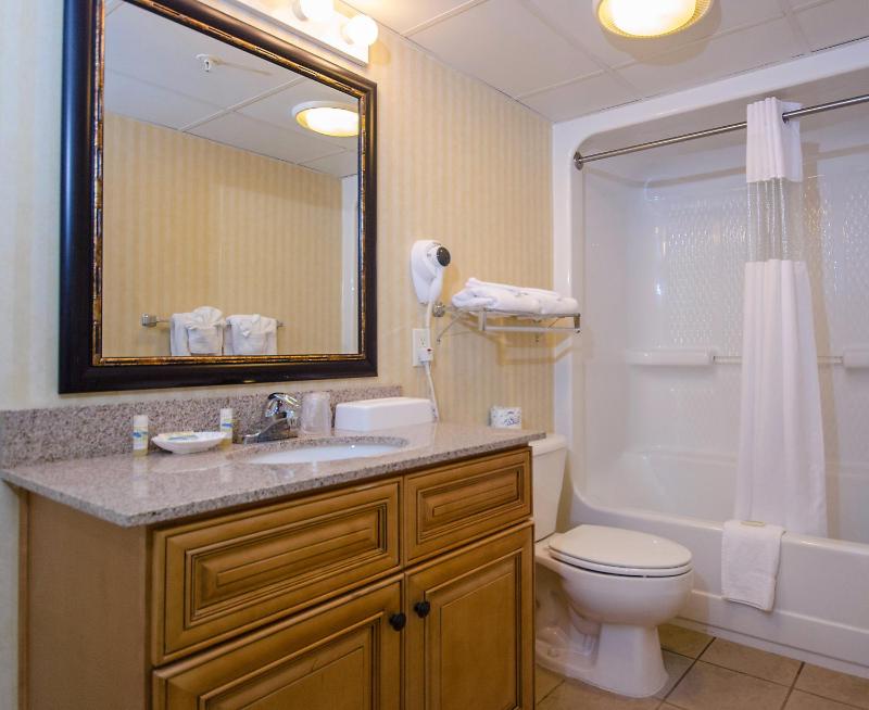 Ocean View One Bedroom Condo South Tower image 2