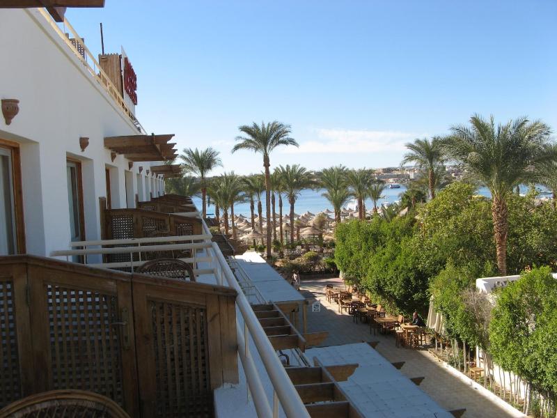 Oonas Dive Club - image 1
