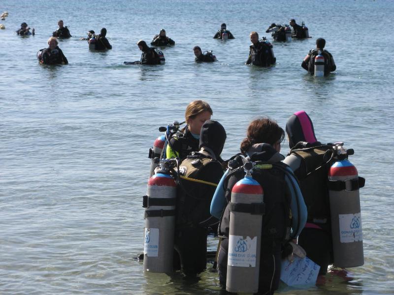 Oonas Dive Club - image 5