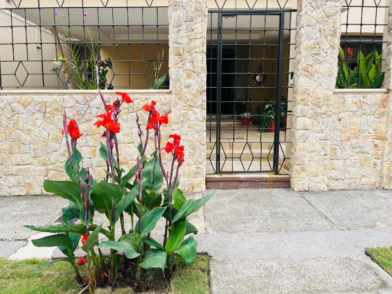 Ester`s Place - image 6