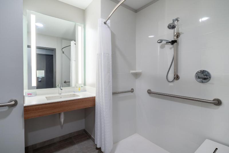 1 King Bed, Mobility Accessible Suite, Roll-In Shower, Non-Smoking image 2
