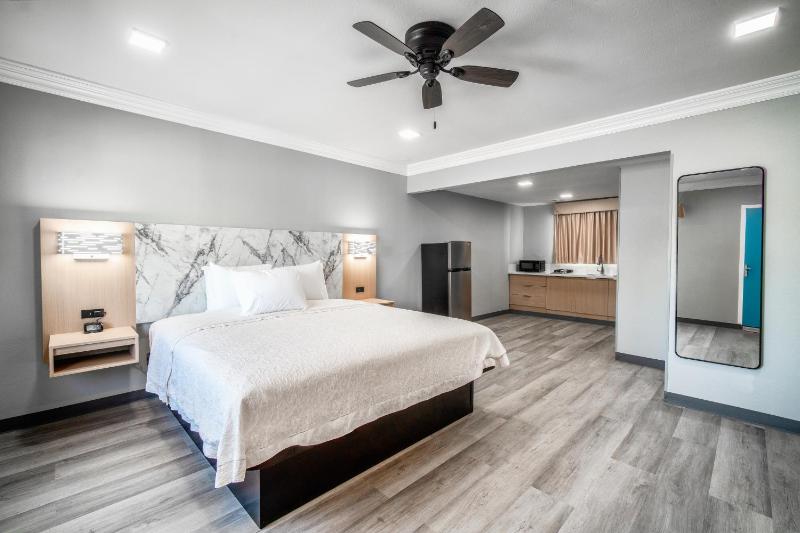 Deluxe King Suite image 4