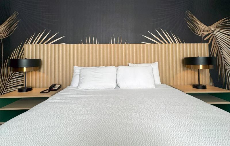 The Harrison Hotel Downtown Hollywood FL an Ascend Collection Hotel - image 11
