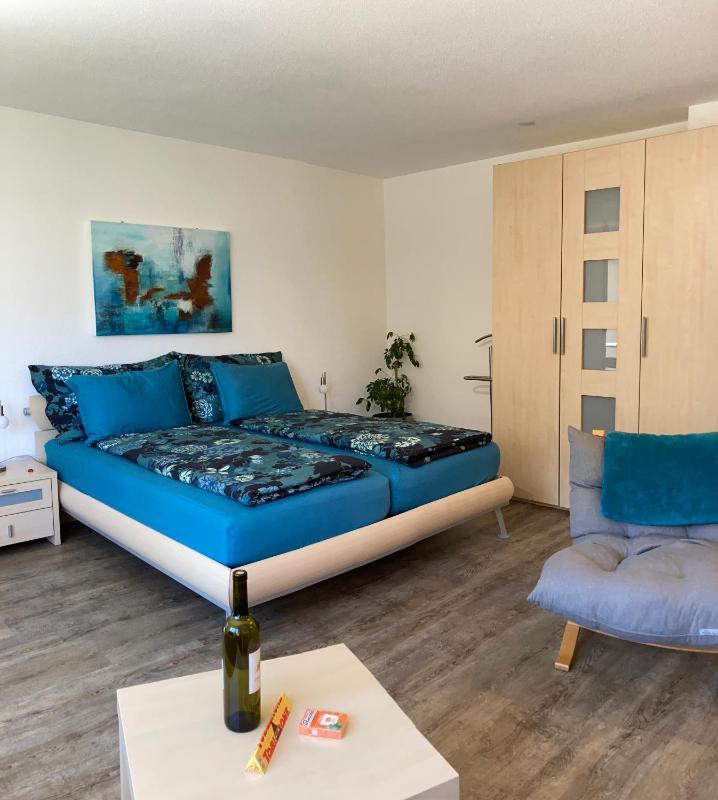 Studio Apartment image 4