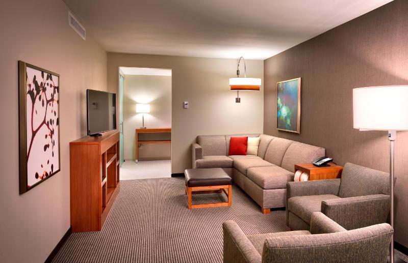 One-Bedroom King Suite with Sofa Bed image 4