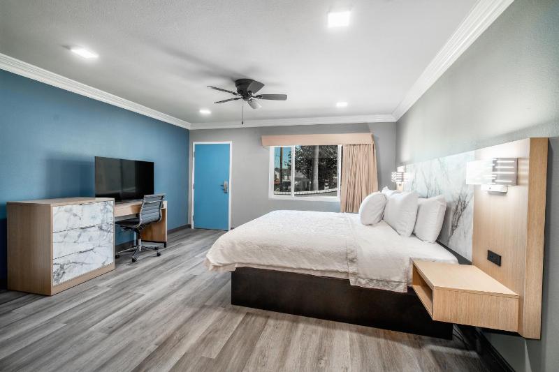 Deluxe King Suite image 2