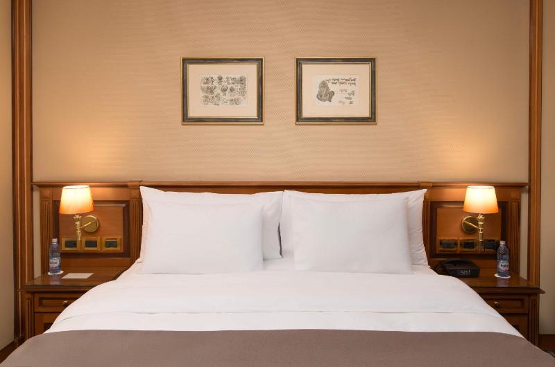 Deluxe Double Room image 4