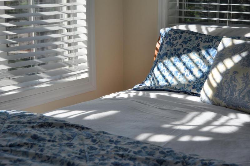 Deluxe Suite image 4