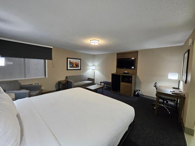 King Studio Suite, Non-Smoking image 4