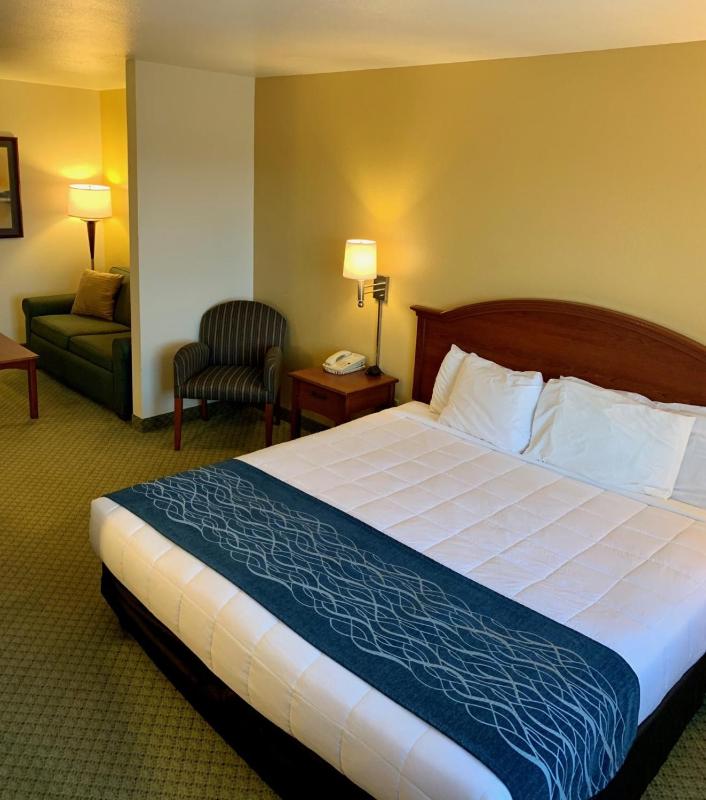 Deluxe King Suite image 2