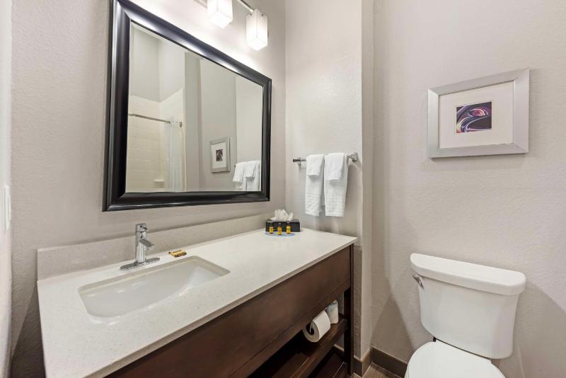 King Room with Shower Only - Non-Smoking image 3