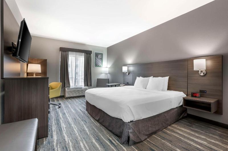 King Room - Non-Smoking image 1