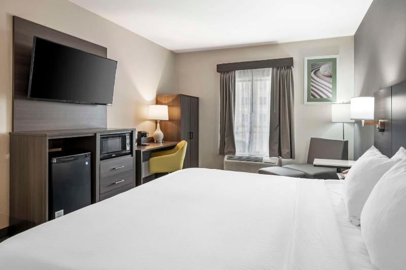 King Room - Non-Smoking image 4