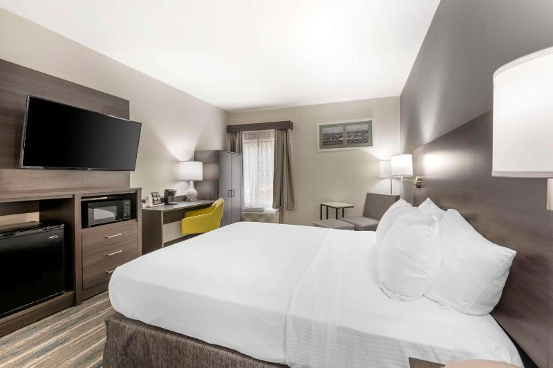 Queen Room with Walk-In Shower - Disability Access/Non-Smoking image 4
