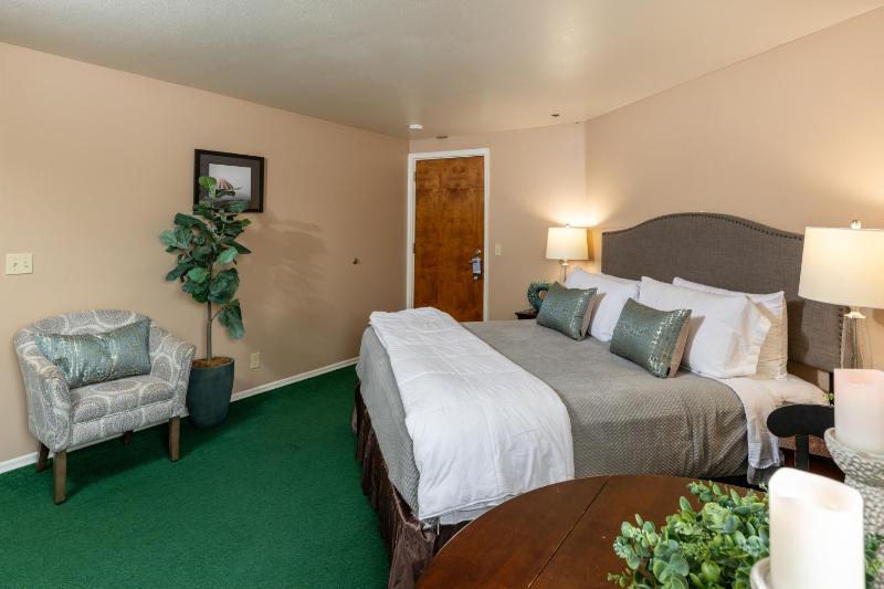 King Room with Mountain View - Pet Friendly image 4