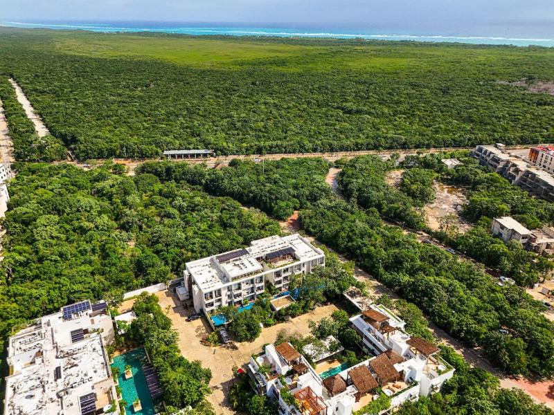 Lux 2BR Suite with Jungle Views Pool Gym at NHOA Tulum - image 45
