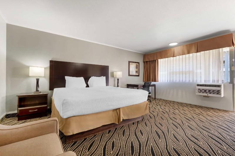 Standard King Room