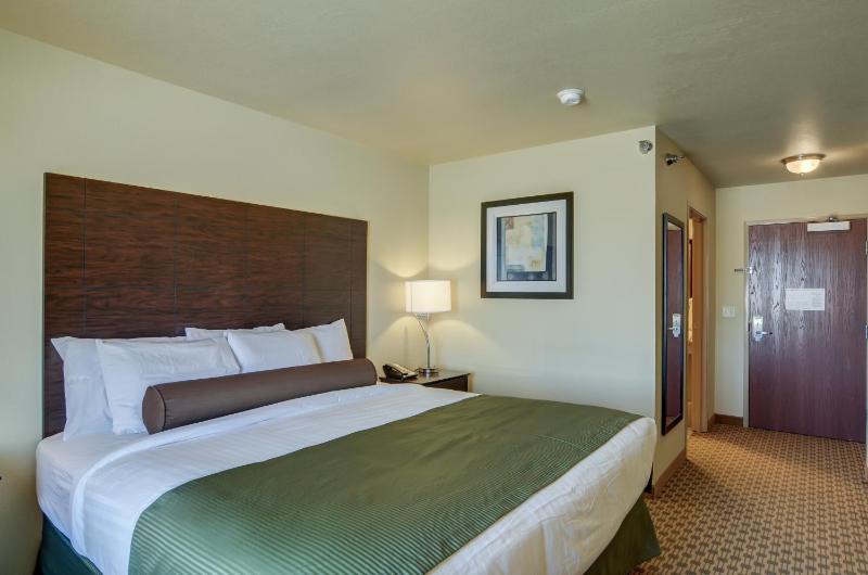 Deluxe King Room image 1