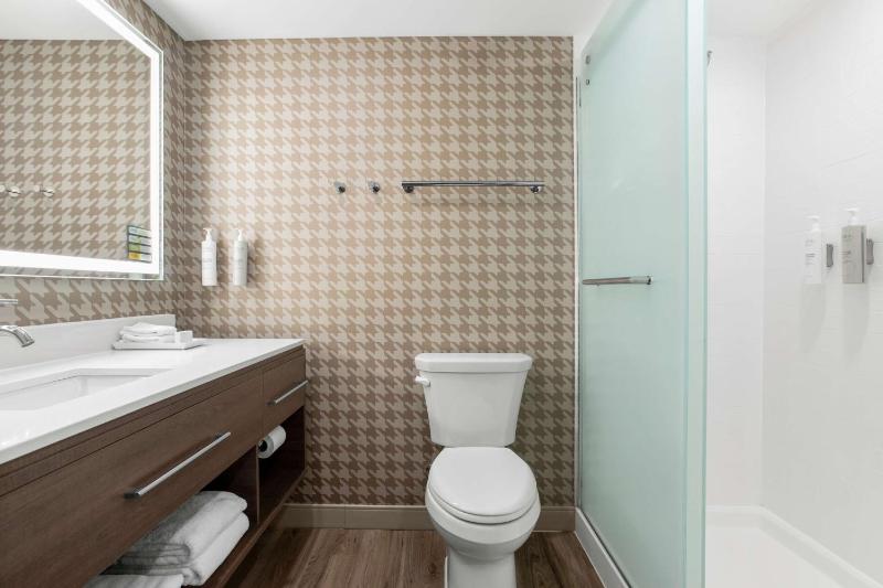 King Studio Suite image 2