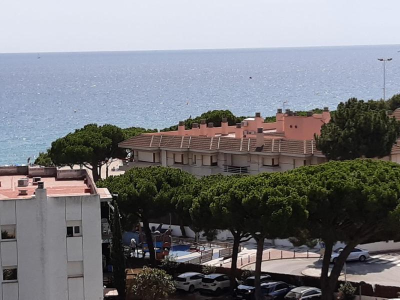 Perla del Mar - image 15