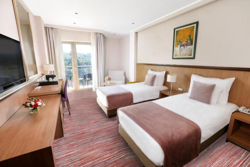 Deluxe Double or Twin Room with Balcony image 1