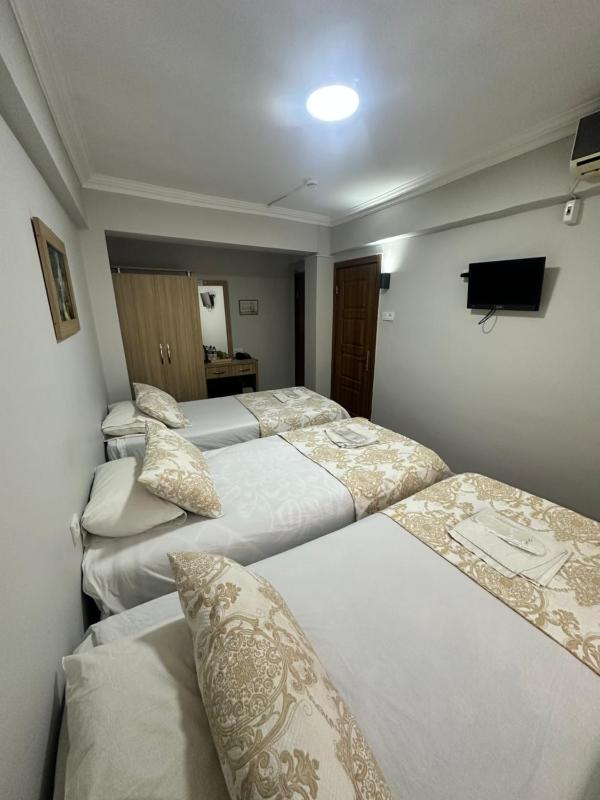 Amore Hotel Istanbul - image 5