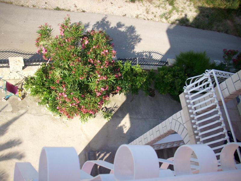 Apartments Tonimir - image 33