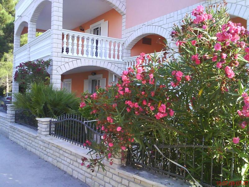 Apartments Tonimir - image 8