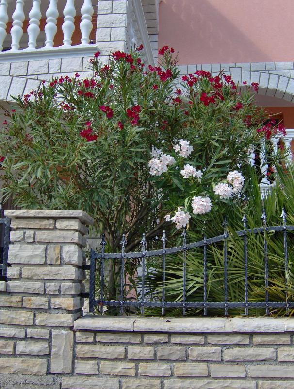Apartments Tonimir - image 39