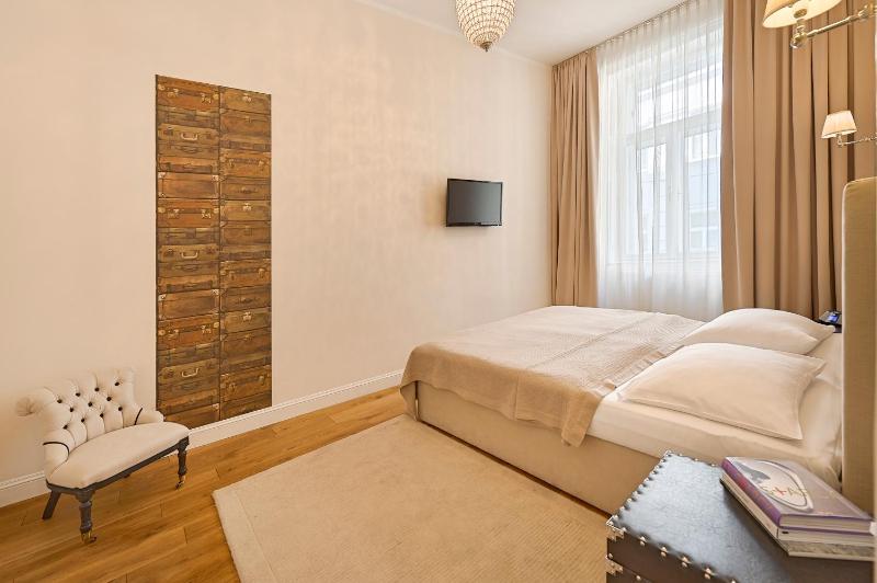 Large One-Bedroom Apartment image 4