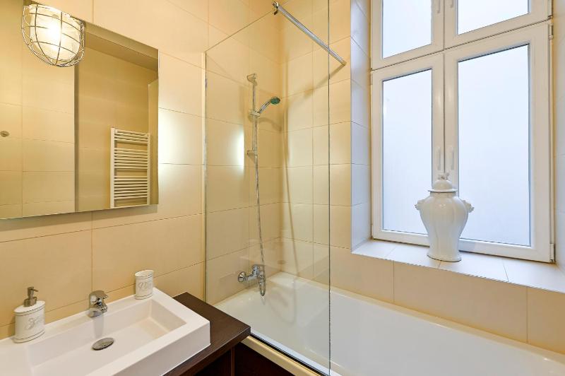 Large One-Bedroom Apartment image 2