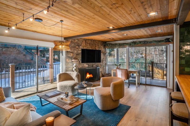 Spacious & Central Aspen 1BR with AC! - image 1