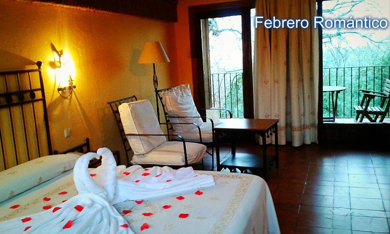 Junior Suite image 1