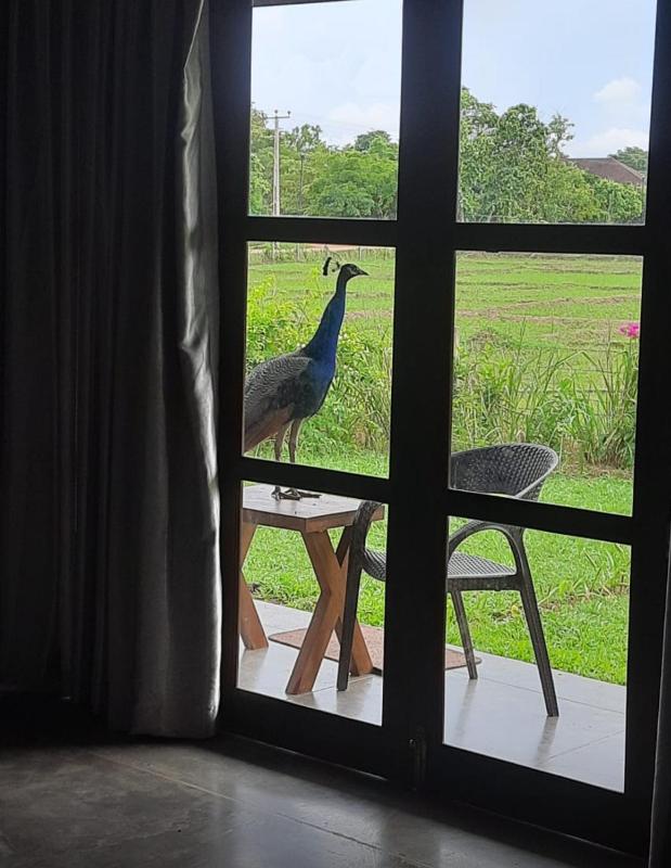 Foresta Resort Sigiriya - image 14