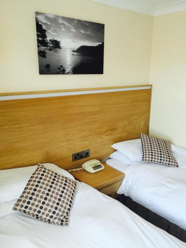 Basic Twin Room image 3