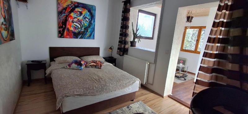 One-Bedroom Apartment with Terrace image 1