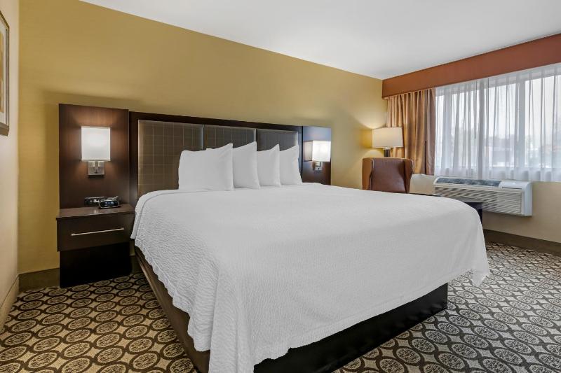 King Room image 4