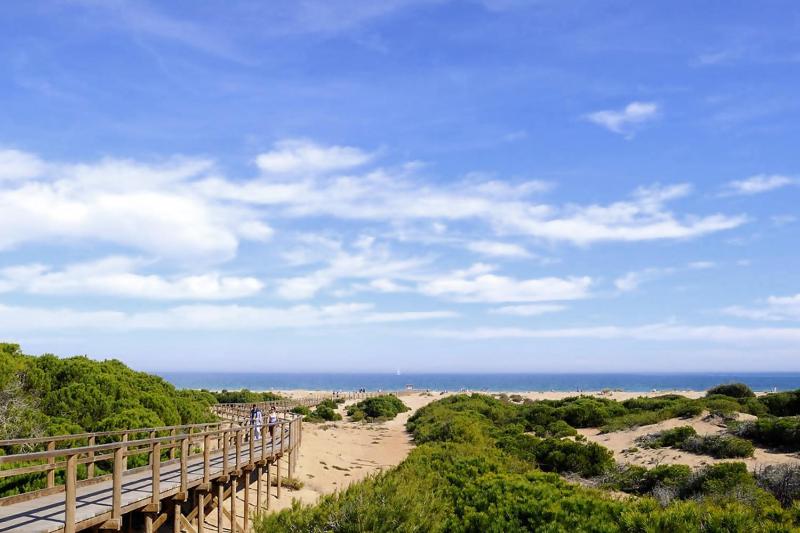 Stay In Novamar II - image 22