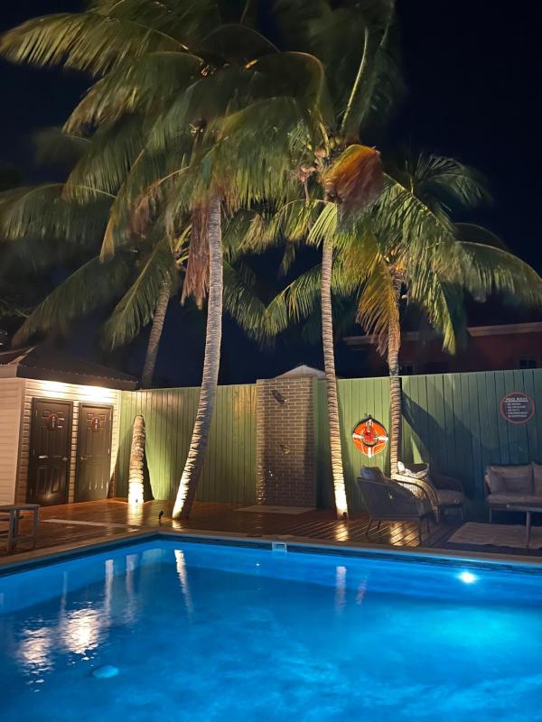 The Palms - image 3