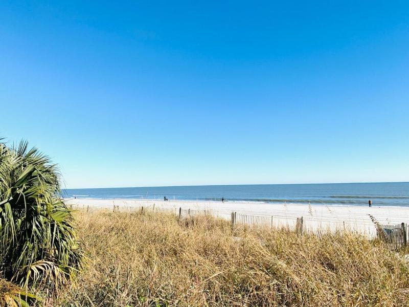 Sand Castle resort #8 ocean front great condo - image 39