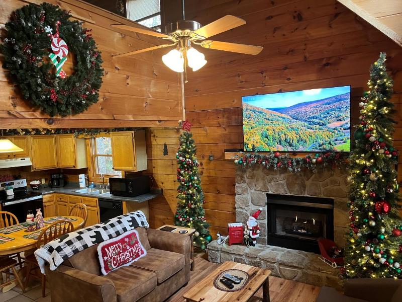 ER27- Bear Naked - Great location- Close to town cabin - image 12