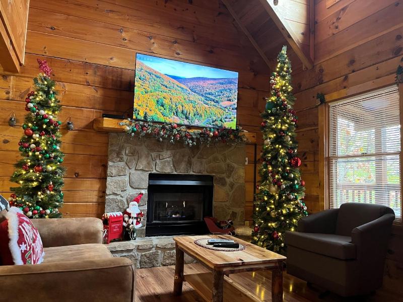 ER27- Bear Naked - Great location- Close to town cabin - image 49