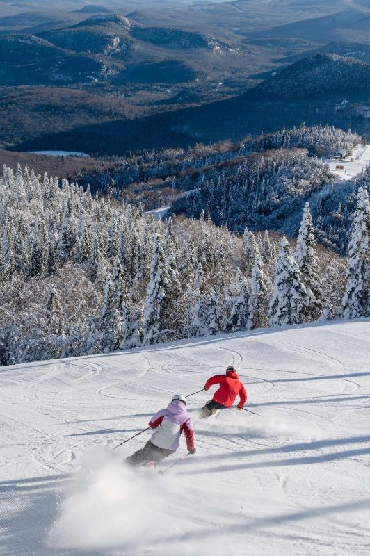 Homewood Suites By Hilton Mont Tremblant - image 24