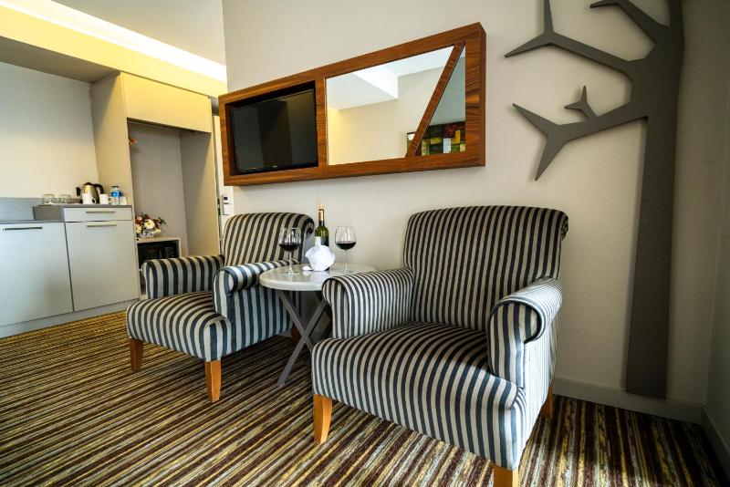 Superior Suite image 2